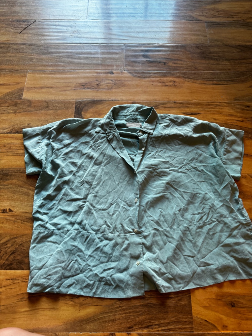 Everlane Teal Button-Up Top